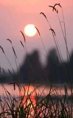 Tableau  Nature et coucher de soleil
