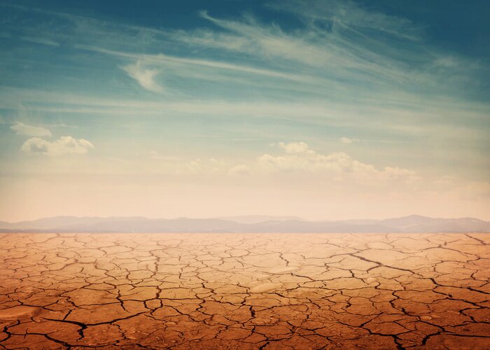 Tableau  Nature et sol fissuré dans le désert