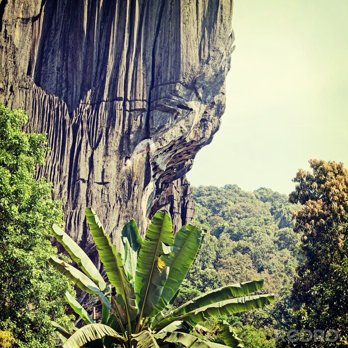 Tableau  Nature et verdure