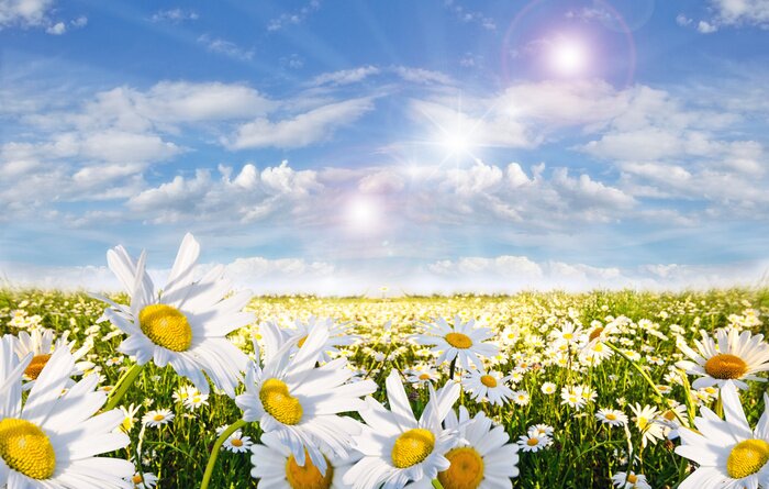 Tableau  Nature par une journée ensoleillée