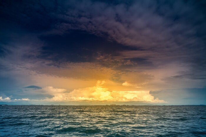 Tableau  Nature tropicale au bord de l'océan