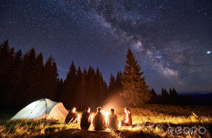 Tableau  Night summer camping in the mountains, spruce forest on background, sky with stars and milky way. Back view group of five tourists having a rest together around campfire, enjoying fresh air near tent.