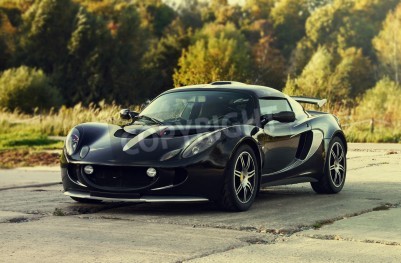 Tableau  Noir voiture agressive du sport sur la nature fond vert