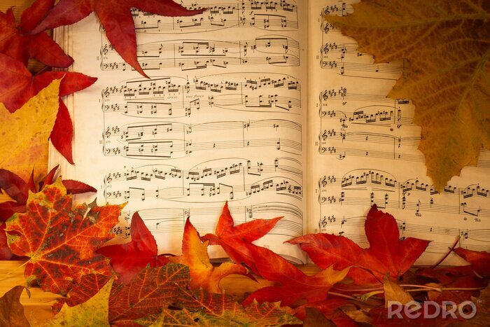 Tableau  Notes de musique et feuilles d'automne