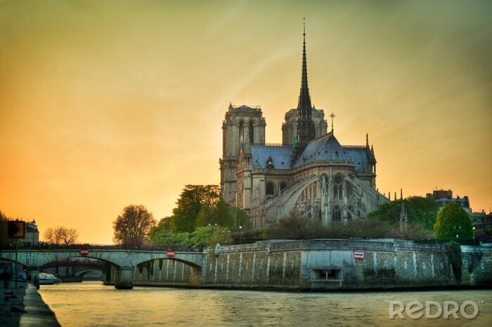 Tableau  Notre dame de Paris - France