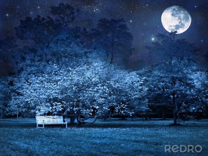 Tableau  Nuit de pleine lune dans le parc