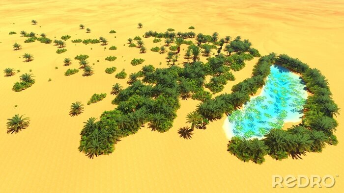 Tableau  Oasis africaine sur le Sahara