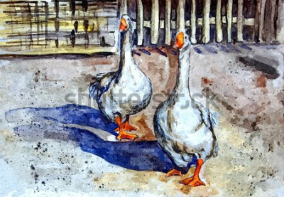 Tableau  Oies aquarelles
