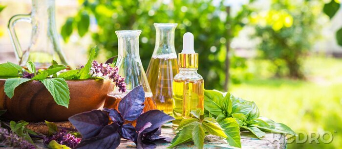 Tableau  Oil for skin care, massage from natural ingredients, herbs, mint in glass jars and test tubes on a green background in the garden on the nature, natural cosmetics