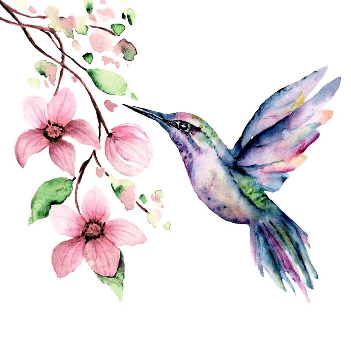 Tableau  Oiseau aquarelle coloré