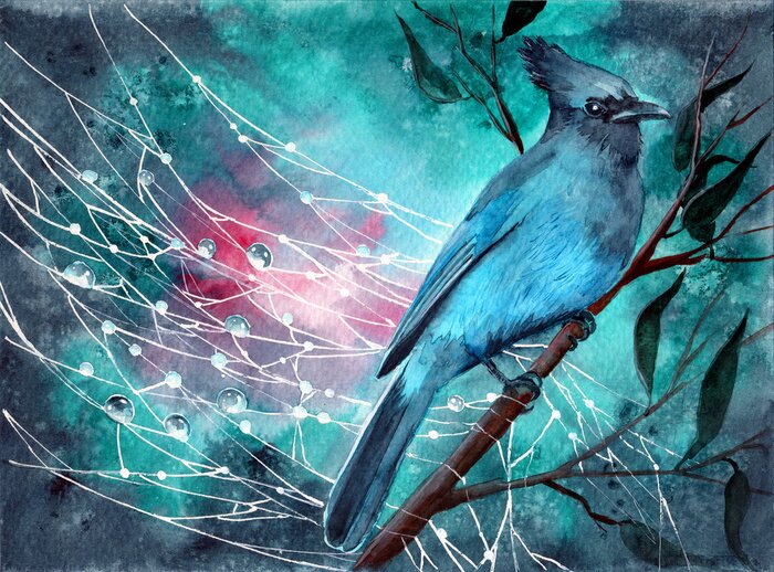 Tableau  Oiseau bleu et gouttes de rosée
