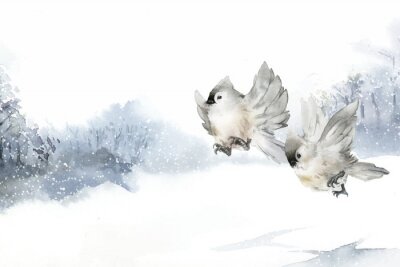 Tableau  Oiseau d'hiver à l'aquarelle