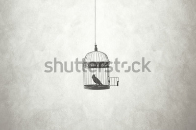 Tableau  Oiseau dans une cage ouverte