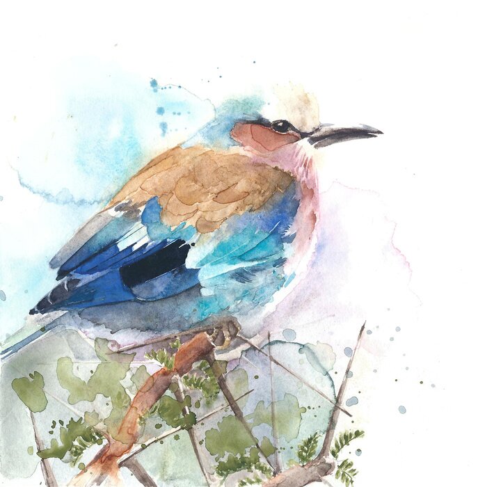 Tableau  Oiseau délicat aquarelle