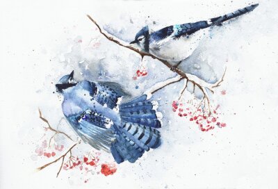 Tableau  Oiseaux aquarelles bleus