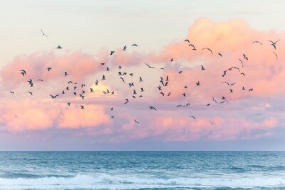 Tableau  Oiseaux au bord de la mer