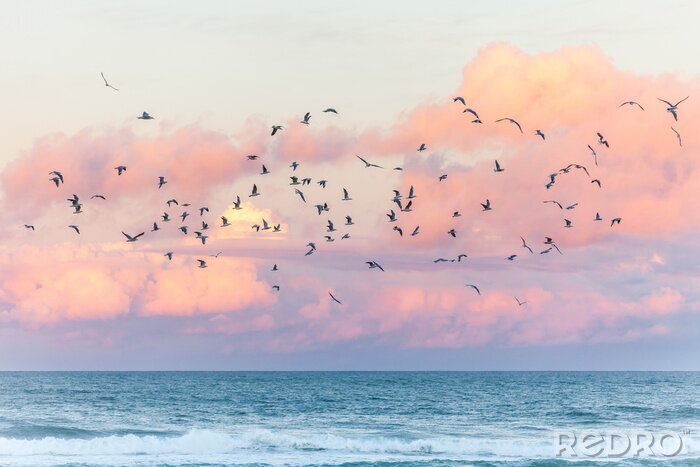 Tableau  Oiseaux au bord de la mer