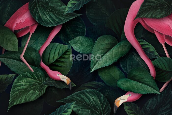 Tableau  Oiseaux exotiques au milieu de feuilles vertes