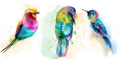 Oiseaux exotiques colorés peints à l'aquarelle