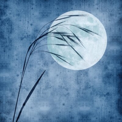 Tableau  old paper background with grass stalk and full moon