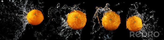 Tableau  Oranges fraîches sur fond noir