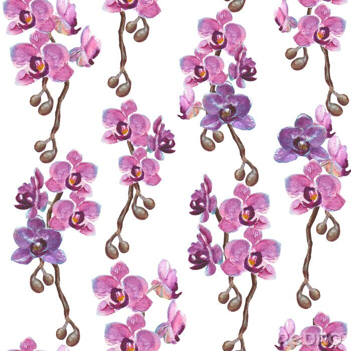 Tableau  Orchidée aquarelle branches seamless pattern sur fond blanc