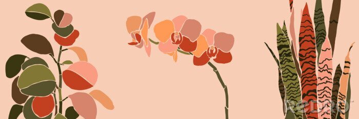 Tableau  Orchidee en sensevieria in warme kleuren