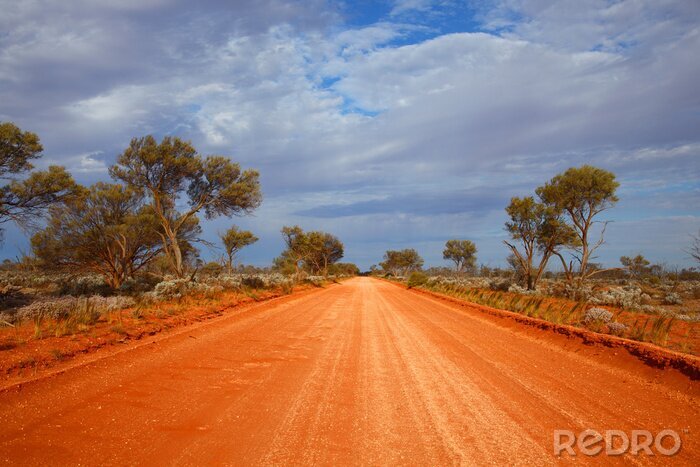 Tableau  Outback road