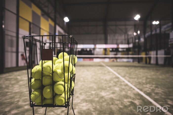 Tableau  Paddle tennis basket dans la cour avec des balles.
