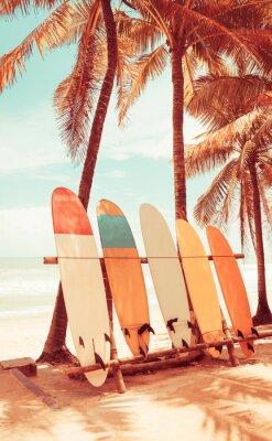 Palmiers et planches de surf sur la plage