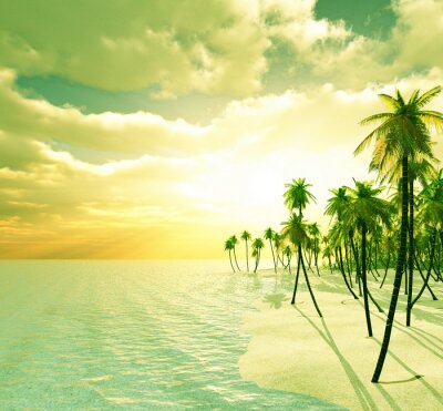 Palmiers, plage et mer au soleil
