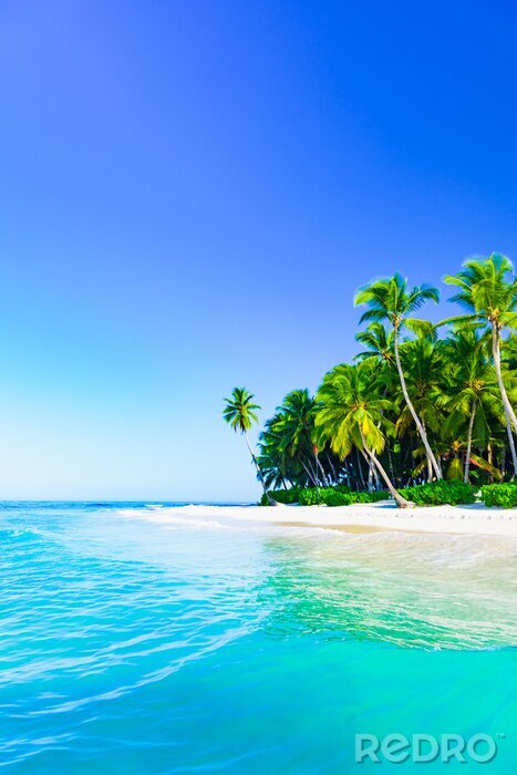 Tableau  Palmiers sur une île