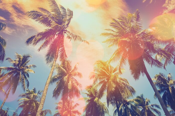 Tableau  Palmiers vintage verts