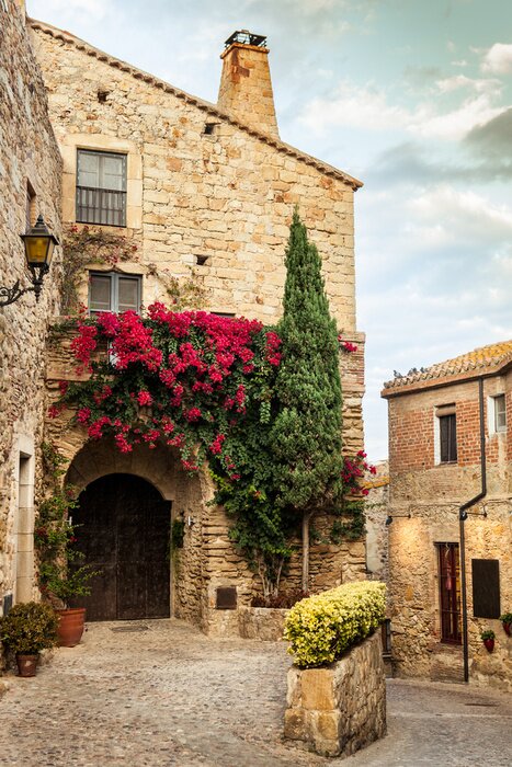 Tableau  Pals Village