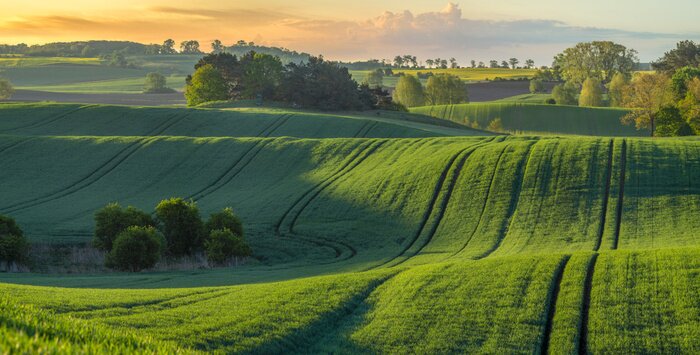 Tableau  Panorama avec un lever du soleil sur des champs