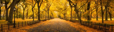 Tableau  Panorama d'automne à Central Park, New York City, USA