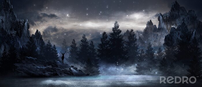 Tableau  Panorama d'une forêt au milieu de la nuit