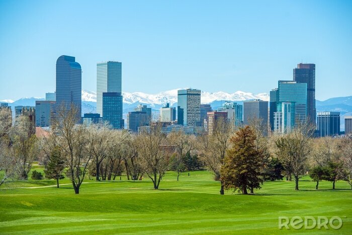 Tableau  Panorama de Denver ensoleillé