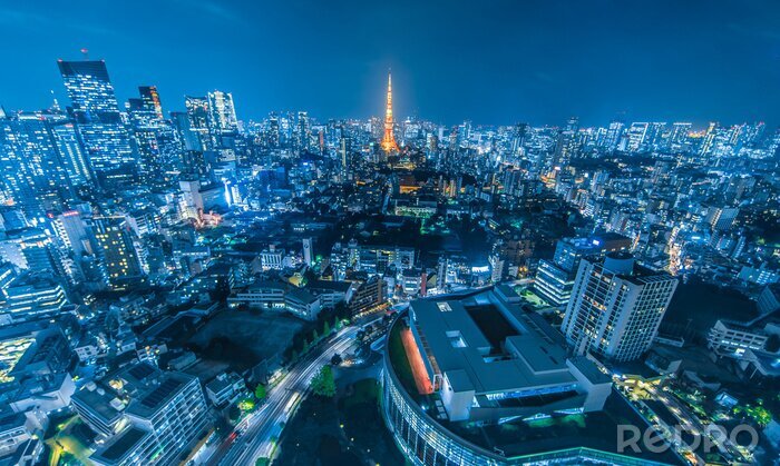Tableau  Panorama de la ville de Tokyo la nuit