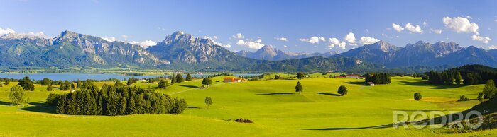 Tableau  Panorama de montagne avec des champs et les Alpes
