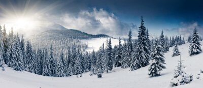 Panorama de montagne d'hiver