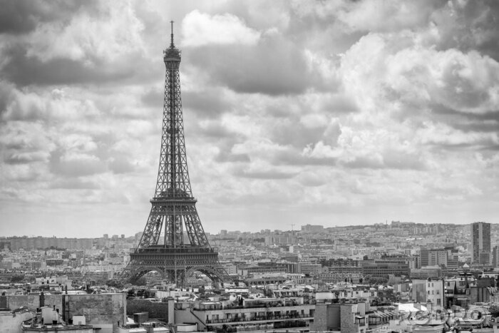 Tableau  Panorama de Paris en noir et blanc