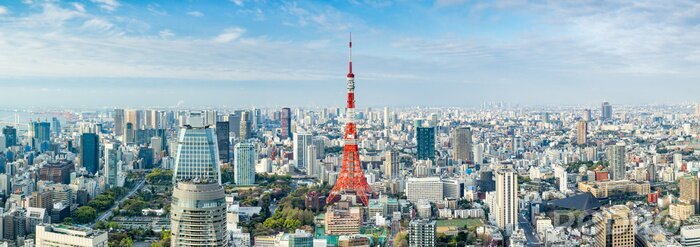Tableau  Panorama de Tokyo depuis la Tour de Tokyo