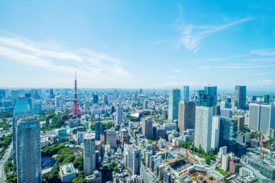 Tableau  Panorama de Tokyo ensoleillé