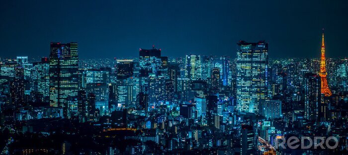 Tableau  Panorama de Tokyo la nuit