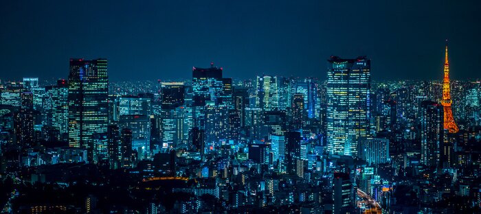 Tableau  Panorama de Tokyo la nuit