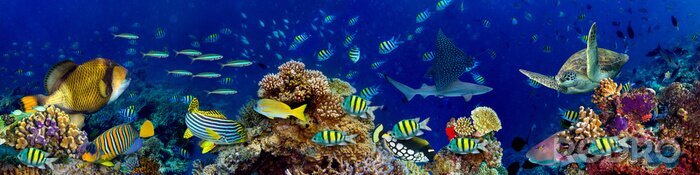 Tableau  Panorama du fond de l'océan