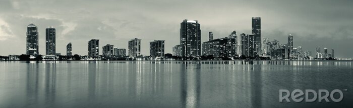 Tableau  Panorama noir et blanc de Miami