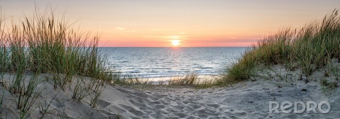 Tableau  Panoramic view of a dune beach at sunset, North Sea, Germany