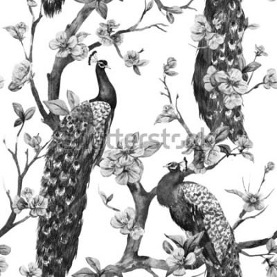 Tableau  Paons en noir et blanc